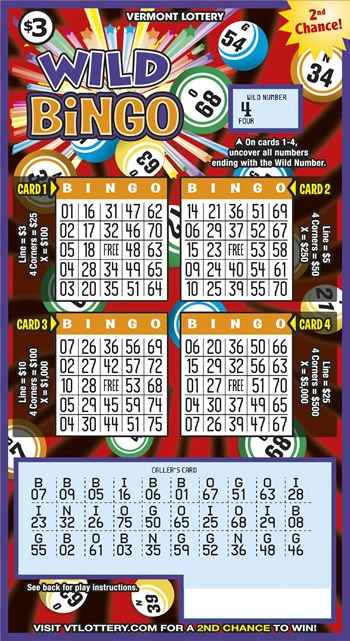 Wild Bingo Scratched