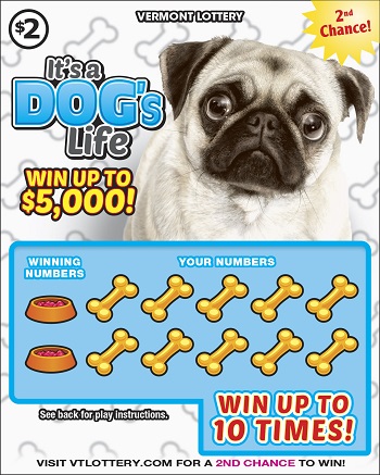 Dogs Life/Cats World