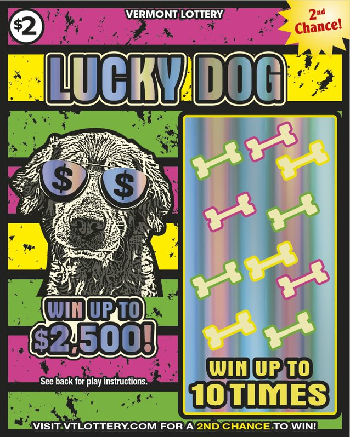 cool cat lucky dog front 