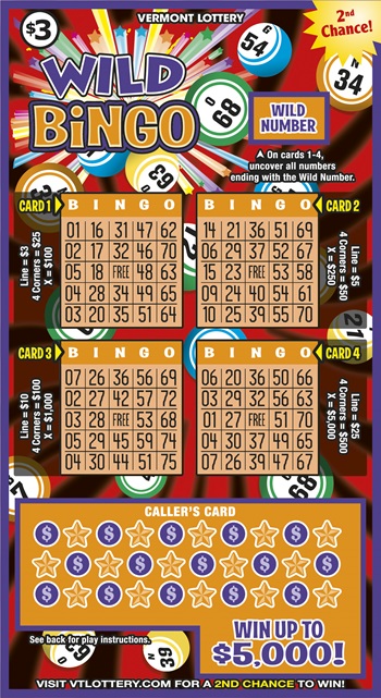 Wild Bingo Front