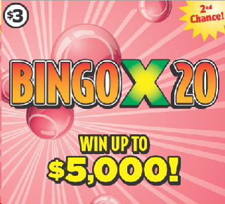 Bingo X 20